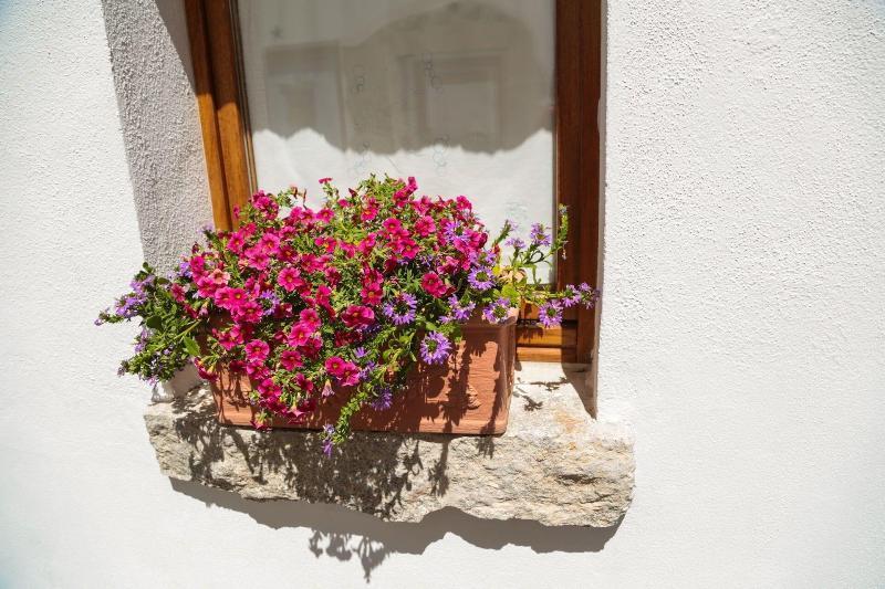 Olbia Domus Inn Eksteriør bilde